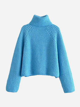 Easy Matching Turtle Neck Blue Sweater For Women
