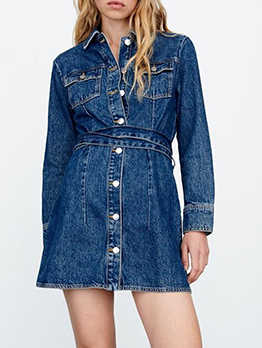 Casual Fashion Fitted Denim Long Sleeve Dress